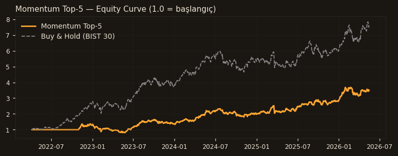 Momentum Top-5 equity curve