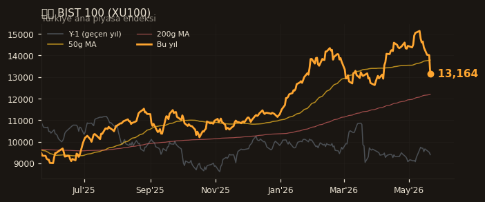 🇹🇷 BIST 100 (XU100)
